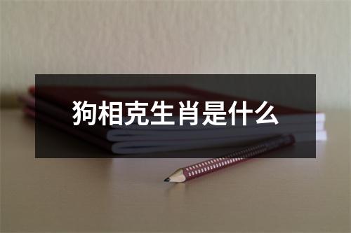 狗相克生肖是什么