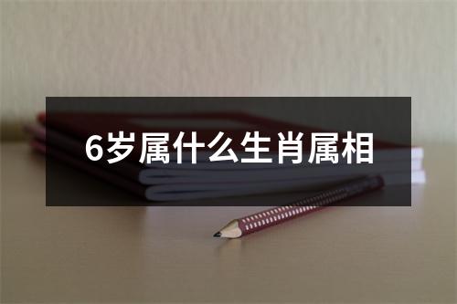 6岁属什么生肖属相