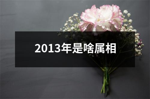 2013年是啥属相