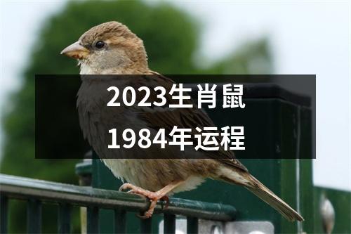 2023生肖鼠1984年运程