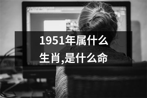 1951年属什么生肖,是什么命