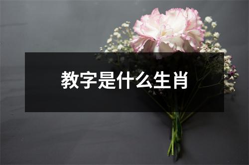 教字是什么生肖