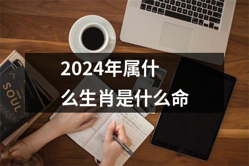 2024年属什么生肖是什么命