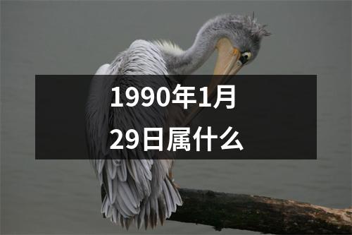 1990年1月29日属什么