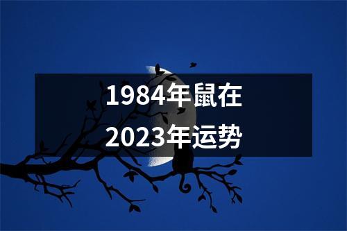 1984年鼠在2023年运势