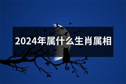 2024年属什么生肖属相