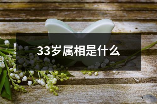 33岁属相是什么