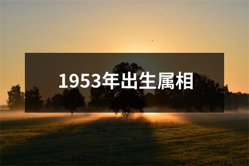 1953年出生属相