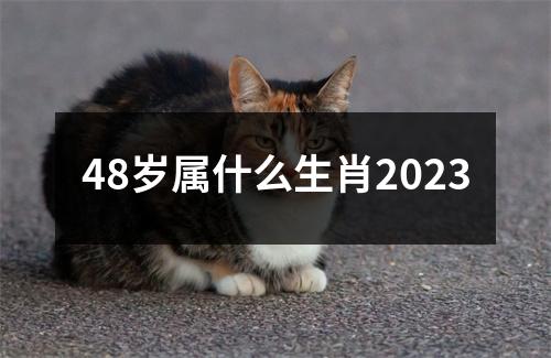 48岁属什么生肖2023