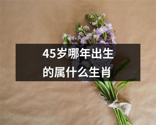 45岁哪年出生的属什么生肖