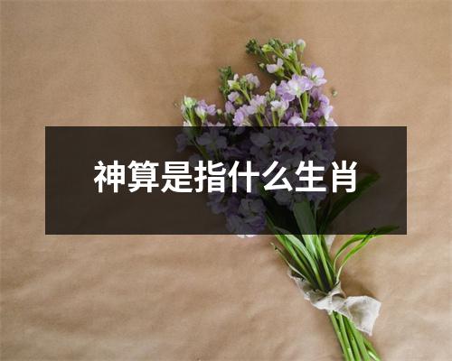 神算是指什么生肖