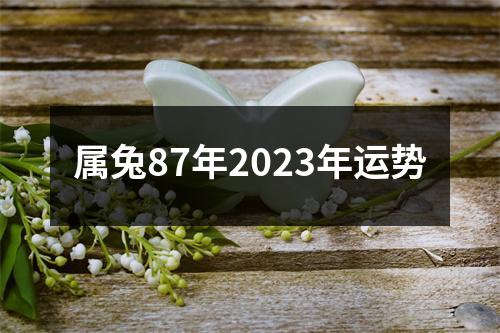 属兔87年2023年运势