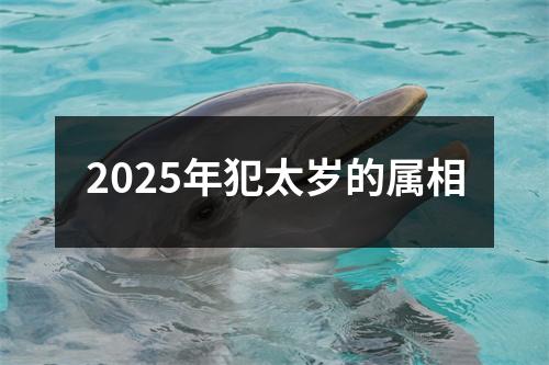 2025年犯太岁的属相