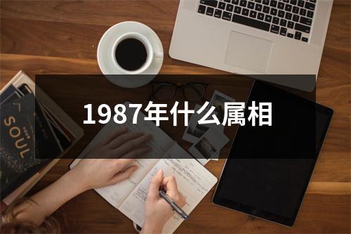 1987年什么属相