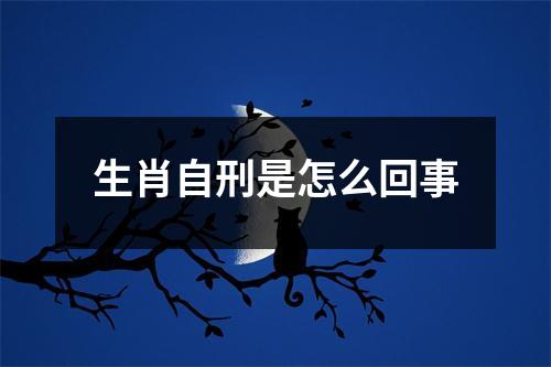 生肖自刑是怎么回事