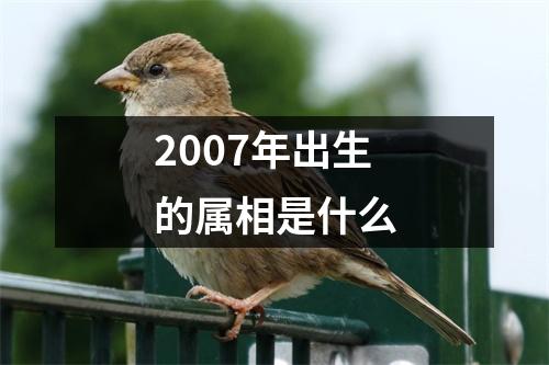 2007年出生的属相是什么