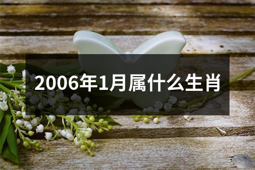 2006年1月属什么生肖