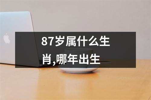 87岁属什么生肖,哪年出生