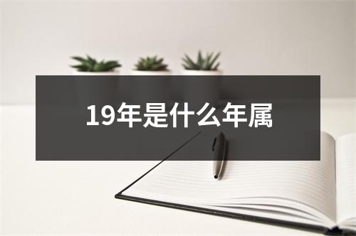 19年是什么年属