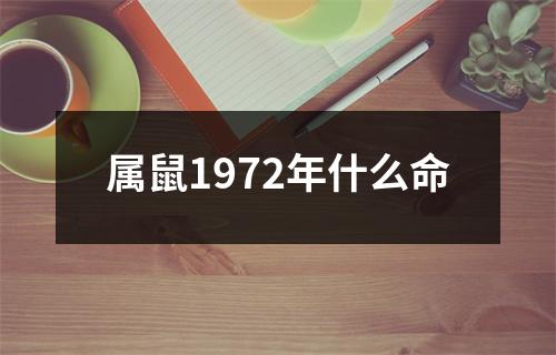 属鼠1972年什么命