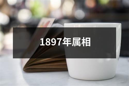 1897年属相