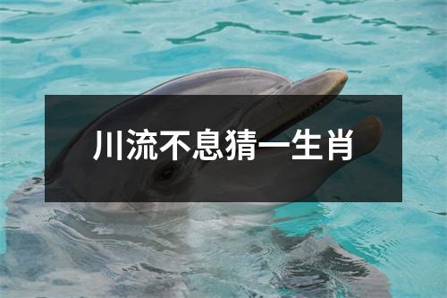 川流不息猜一生肖