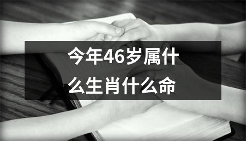 今年46岁属什么生肖什么命