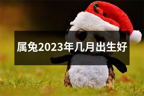 属兔2023年几月出生好