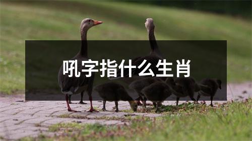 吼字指什么生肖