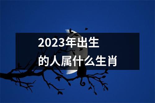 2023年出生的人属什么生肖