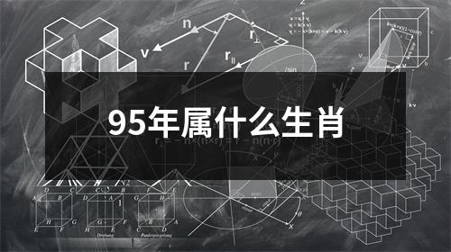 95年属什么生肖