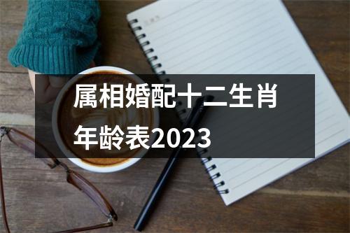 属相婚配十二生肖年龄表2023