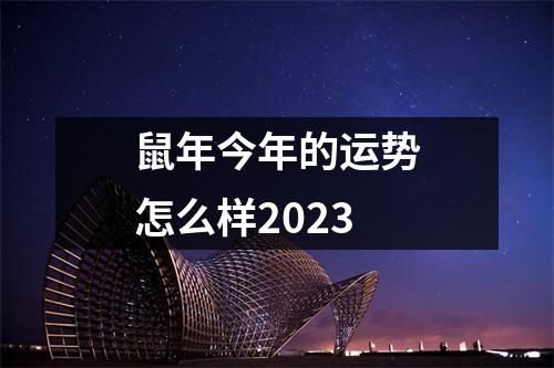 鼠年今年的运势怎么样2023