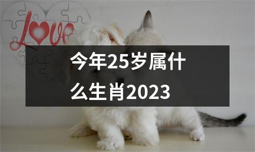 今年25岁属什么生肖2023