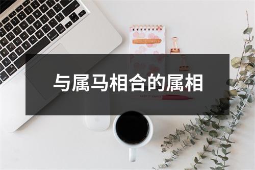 与属马相合的属相