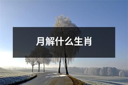 月解什么生肖