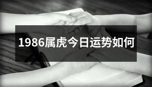 1986属虎今日运势如何