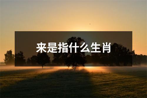 来是指什么生肖