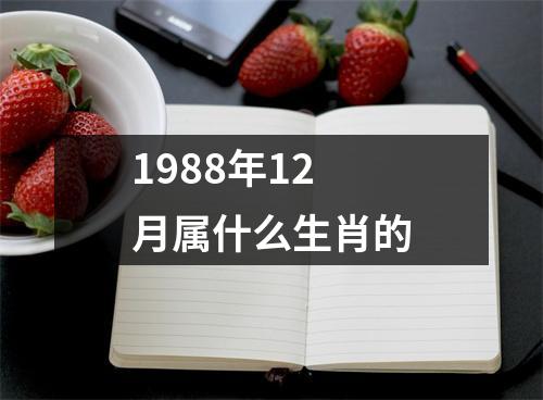 1988年12月属什么生肖的