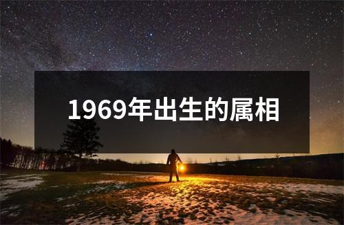 1969年出生的属相