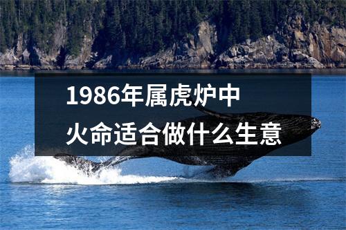 1986年属虎炉中火命适合做什么生意