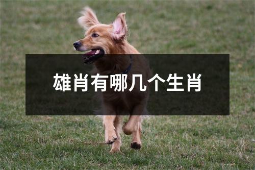 雄肖有哪几个生肖