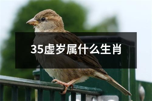 35虚岁属什么生肖