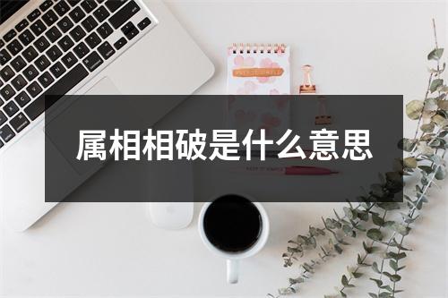 属相相破是什么意思