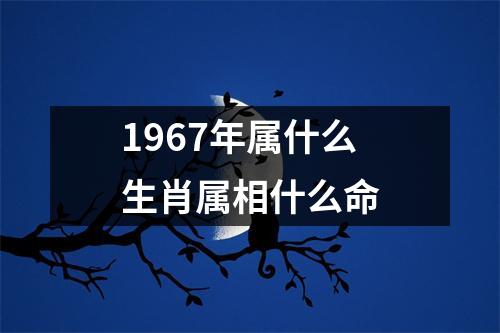 1967年属什么生肖属相什么命