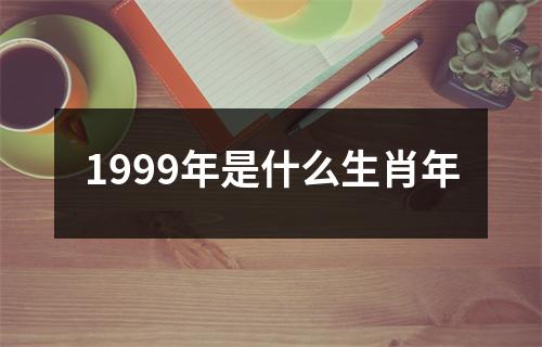 1999年是什么生肖年