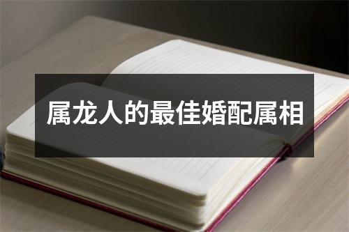 属龙人的最佳婚配属相