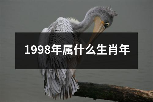 1998年属什么生肖年