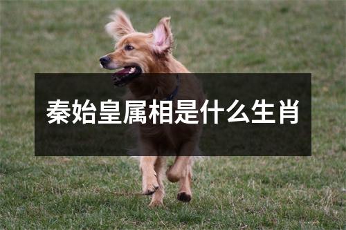 秦始皇属相是什么生肖