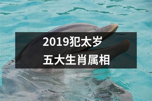 2019犯太岁五大生肖属相